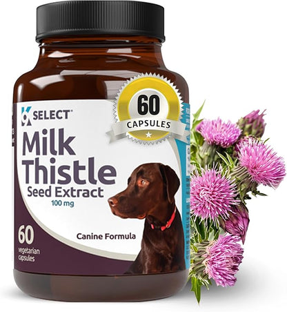 Milk Thistle for Dogs, 100mg - 60 Vegetable Capsules - Canine Liver Health Milk Thistle Supplement - Milk Herbal