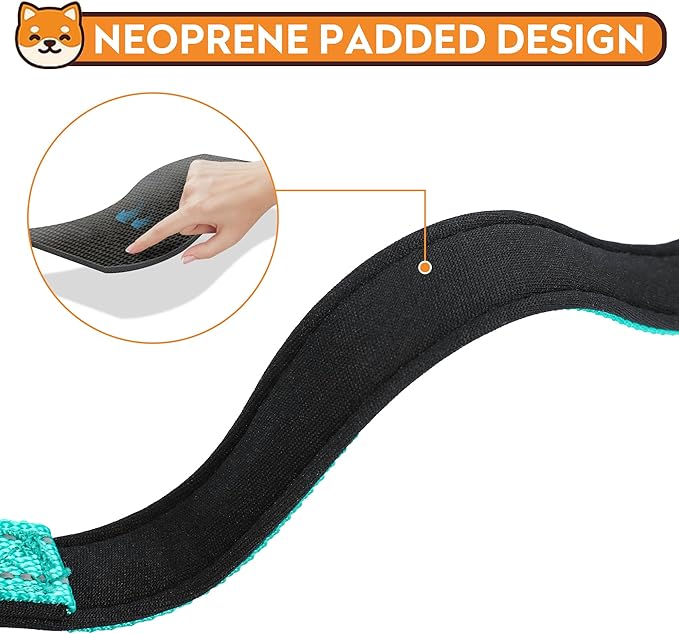 Reflective Dog Collar, Adjustable Soft Neoprene Padded Nylon Pet Collars with Buckle for Extra Large Dogs, Teal,XL