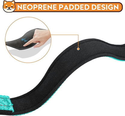 Reflective Dog Collar, Adjustable Soft Neoprene Padded Nylon Pet Collars with Buckle for Large Dogs, Teal,L