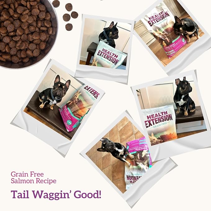 Health Extension Grain Free Salmon & Sweet Potato Dry Dog Food - 30+ Superfoods and Probiotics for All Life Stages (4 lb)