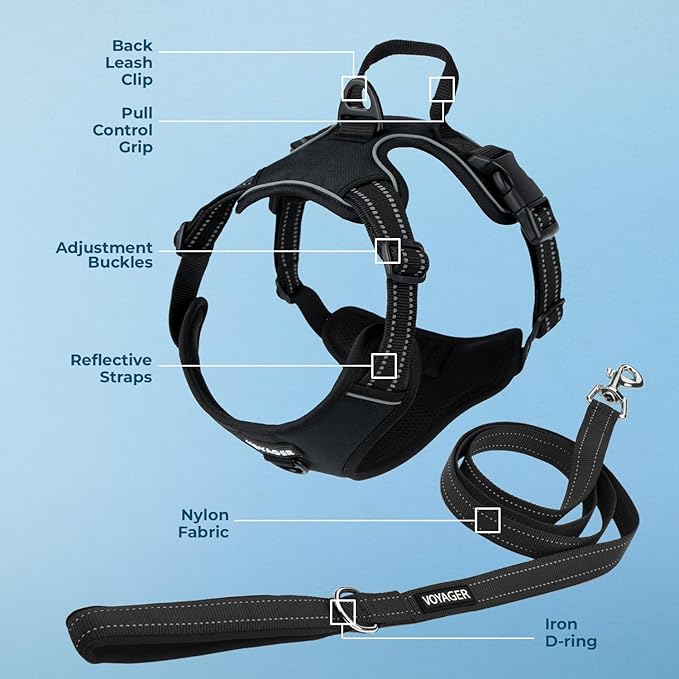 Voyager Dog Harness Dual Leash Attachment No-Pull Control Adjustable Soft but Strong Pet Harness for Medium and Large Dogs with 3M Reflective Technology, Leash Set Black Nylon, XS (Chest: 13-16")