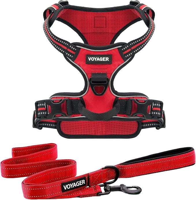 Voyager Dog Harness Dual Leash Attachment No-Pull Control Adjustable Soft but Strong Pet Harness for Medium and Large Dogs with 3M Reflective Technology, Leash Set Red Nylon, XS (Chest: 13-16")