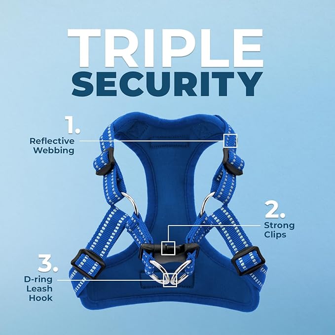 Best Pet Supplies Voyager Adjustable Step-In Flex Breathable Mesh Dog Harness for Small Medium Large Dogs (Royal Blue), S