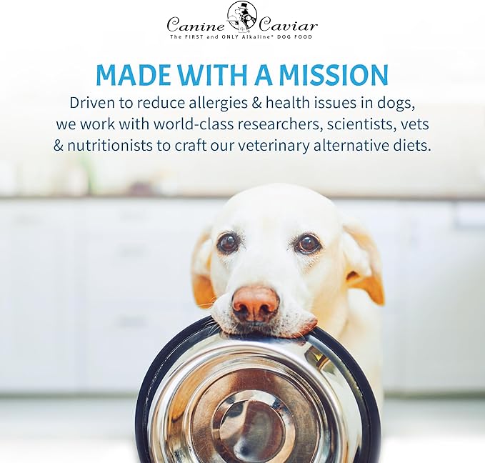 Canine Caviar - Special Needs: Chicken & Brown Rice Alkaline Dry Dog Food, Limited Ingredients, Gluten-Free, Based on Science & Research, Veterinary Alternative Diet (11 Pound Bag)