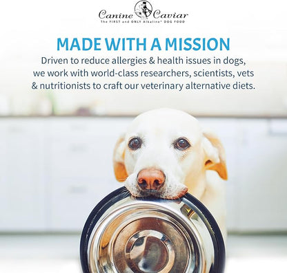 Canine Caviar - Open Sky: Duck & Teff Alkaline Dry Dog Food, Limited Ingredients, Gluten-Free, Based on Science & Research, Veterinary Alternative Diet (22 Pound Bag)