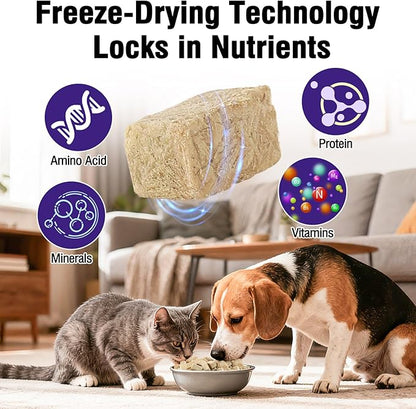 Snacko Freeze Dried Chicken Liver Cat Dog Treats Chicken Flavor Grain Free Healthy Bites Low Fat Puppy Kitten Training Reward