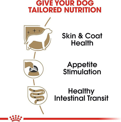 Royal Canin Breed Health Nutrition Yorkshire Terrier Adult Loaf in Sauce Dog Food, 3 oz (Pack of 24)