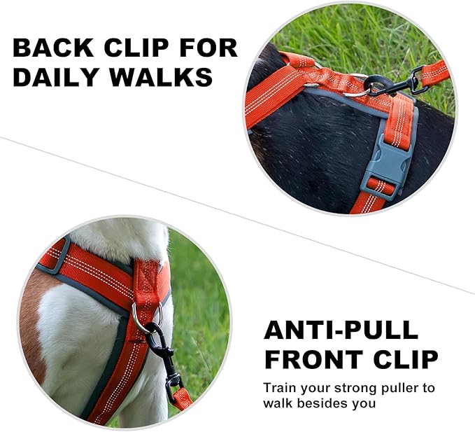 Plutus Pet No Pull Dog Harness, Adjustable Nylon Harness with Soft Padding, Reflective and Heavy Duty Dog Harness for Small, Medium, Large Dogs(Orange, M)