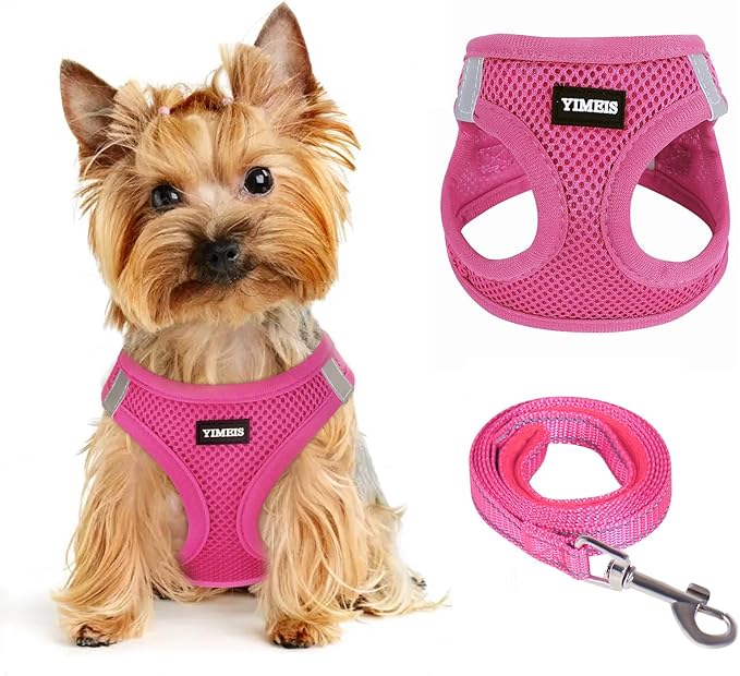 Dog Harness for Small Dogs and Leash Set, Honeycomb Grid, Reflective Lightweight Harness & Anti-Twist Pet Lead (Multi Color, Size: XS-S-M) (M, Rose red)