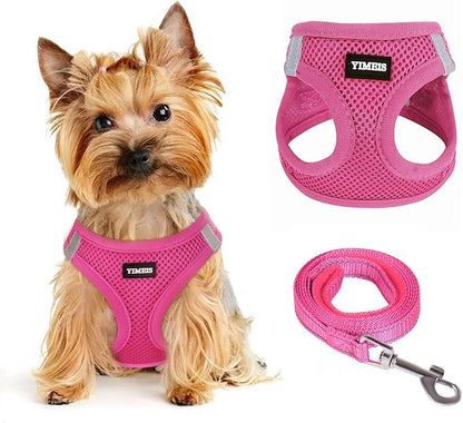 Dog Harness for Small Dogs and Leash Set, Honeycomb Grid, Reflective Lightweight Harness & Anti-Twist Pet Lead (Multi Color, Size: XS-S-M) (M, Rose red)