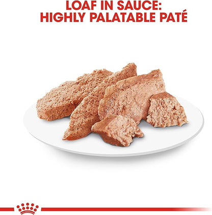 Royal Canin Breed Health Nutrition Poodle Adult Loaf in Sauce Dog Food, 3 oz (Pack of 6)