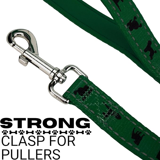 EcoBark Dog Leash - Soft & Reflective Comfort Leash with Padded Handle - Strong Durable Heavy Duty - Training and Pulling for Small, Medium or Large Dogs (Forest Green)