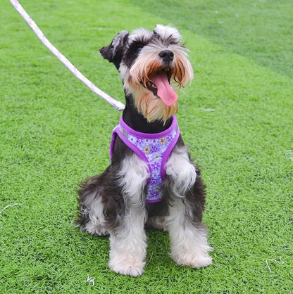 Moonpet Step in Dog Harness Leash Set- All Weather Reflective No-Pull Floral Pattern Padded Mesh Vest Harness for Cats Puppy Extra-Small Small Medium Large Dogs - Purple Flower - S