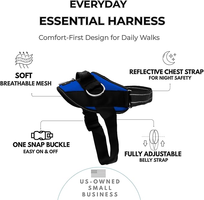 ShawnCo Essential Dog Harness, No-Pull Pet Vest with 3 Leash Clips, No Choke, Reflective, Adjustable and Padded, for Easy Walking and Training for Small, Medium and Large Dogs (Electric Blue,M)