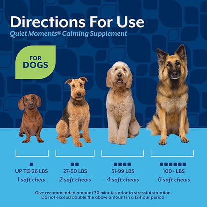 NaturVet Quiet Moments Calming Dog Supplement, Dog Soft Chews with Melatonin to Help Reduce Stress from Storms, the Vet, Fireworks, and Travel, Bacon and Chicken Flavored Pet Supplement, 240 Count Jar