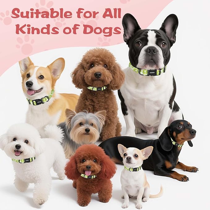Kazazoo Dog Collar Cute and Soft Nylon Puppy Collar for Boy and Girl, Adjustable Dog Collars for Small Medium Dogs, Kiwi Fruit-M