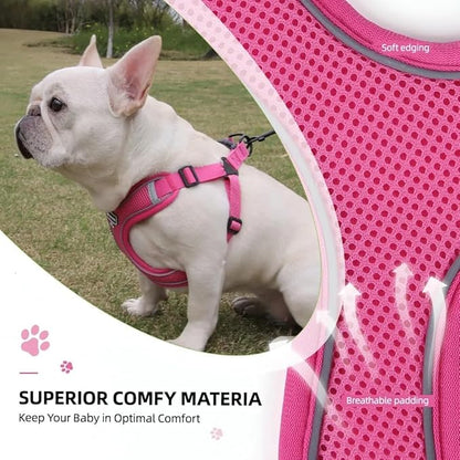 Dog Harness and Leash Set, Adjustable Triangle, Reflective Adjustable Puppy Vest, No Pull Soft Mesh Harness for Small, Medium Dogs, Cats (Fuchsia, L)