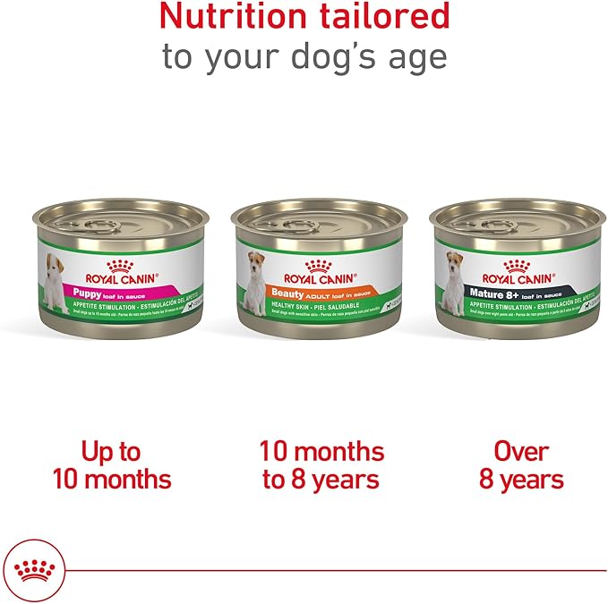 Royal Canin Canine Health Nutrition Mature 8+ Loaf in Sauce Dog Food, 5.2 oz (Pack of 24)