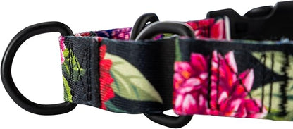 Wolfgang Heavy Duty Martingale Dog Collar with Quick Release Nylon Buckle for Walking & Training, DarkFloral Print, Medium