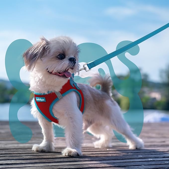 rabbitgoo Dog Harness Small Sized and Leash Set, Step-in Breathable Pet Harness, Soft Walking Reflective Puppy Vest for Small Dogs, Red & Teal, XS