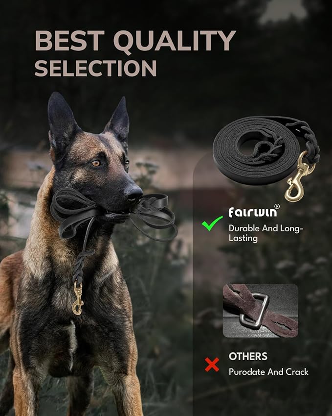 FAIRWIN Leather Dog Leash 6 Foot - Braided Military Grade Heavy Duty Dog Leash for Large Medium Small Dogs Training and Walking (Black, XL:1" x 6ft)