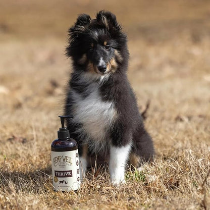 Hemp Well Thrive Oil for Dogs and Cats – Supports Hip, Joint, and Heart Health, Promotes Immune System, and Promotes Healthy Skin from Seasonal Allergies, Organically Sourced - 16 Ounces