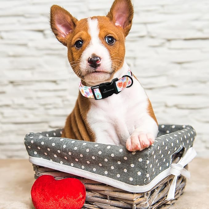 ARING PET Valentine's Day Dog Collar, Cute Candy Heart Pet Collars with Quick Release Buckle for Puppy Small Medium Large Boy Girl Dogs-M