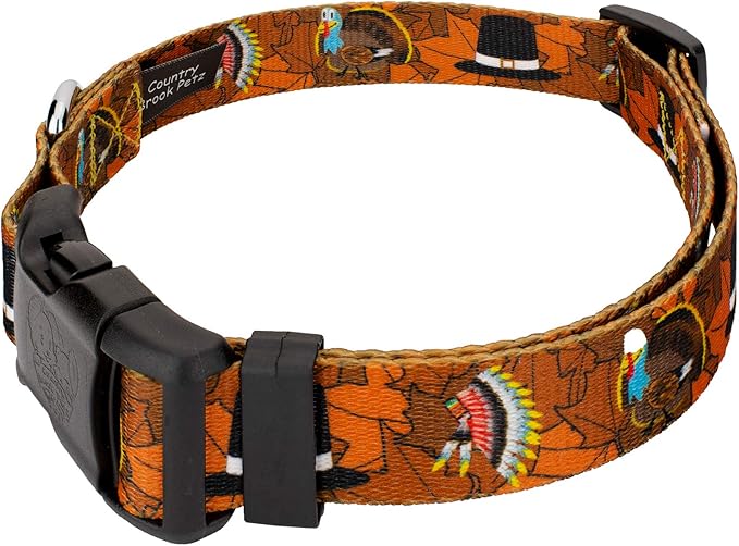 Country Brook Petz - Thanksgiving Tradition Everyday Dog Collar and Leash - Awesome Autumn Collection Featuring Designs You'll Fall for (1/2 Inch, 2XS)