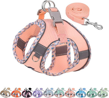 AIITLE Teacup Puppy Harness with Leash - Adjustable Soft Vest with Magic Tape & Reflective Safety Strips, Easy-Put-On for Poodles, Pomeranians - Gym, Hiking, Travel (Pink, S)