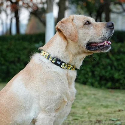 Dog Collar Leash Set, Floral Pattern, 5ft Matching Leash, Polyester Material, 4 for Small Medium Large Dogs.(S, Sunflower)