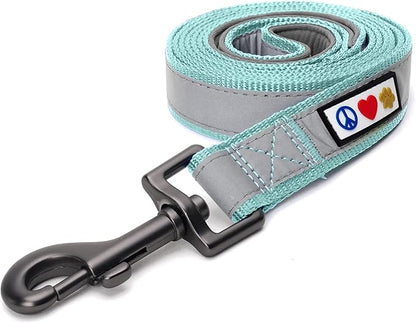 Pawtitas Teal Dog Leash 6 ft Custom ID Lead for Dogs & Puppies Reflective Comfortable Padded Handle Embroidered Name & Phone Number