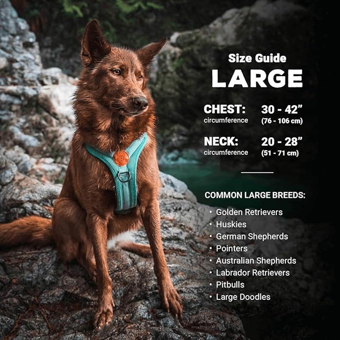 Wilderdog Lightweight Dog Harness with Reflective Straps - Large - Seafoam