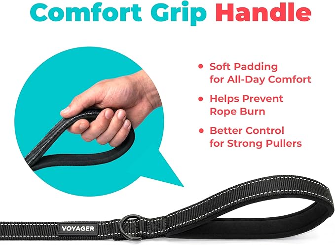 Best Pet Supplies Voyager Reflective Dog Leash or Collar with Neoprene Handle, for Small, Medium, and Large Breed Puppies, Cute and Heavy Duty for Walking, Running and Training - Black (Leash), L