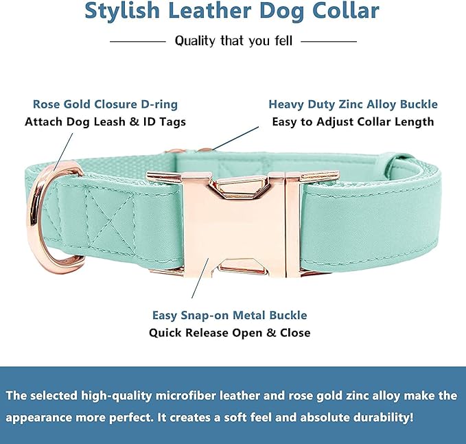 Soft Leather Dog Collar and Leash (6.6') Set - Stylish Rose Gold Heavy Duty Metal Buckle, 4 Adjustable Lengths Leash for Small Medium Large Dogs - Comfortable & Easy to Clean Mint Green L(15.4"-24.8")
