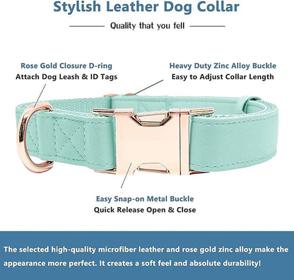 Soft Leather Dog Collar and Leash (6.6') Set - Stylish Rose Gold Heavy Duty Metal Buckle, 4 Adjustable Lengths Leash for Small Medium Large Dogs - Comfortable & Easy to Clean Mint Green XS(8"-12")