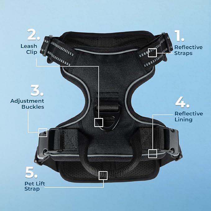 Voyager No Pull Dog Harness for Medium Dogs, Dual Leash Attachments, Adjustable Soft but Strong Pet Harness with 3M Reflective Technology, Black Nylon, M (Chest: 20-25") (Pack of 5)