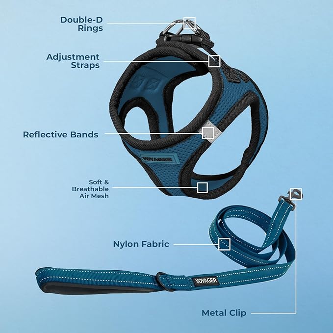 Best Pet Supplies Voyager Step-in Air All Weather Mesh Harness and Reflective Dog 5ft Leash Combo with Neoprene Handle, for Small, Medium and Large Breed Puppies - Set (Blue/Black Trim), Medium