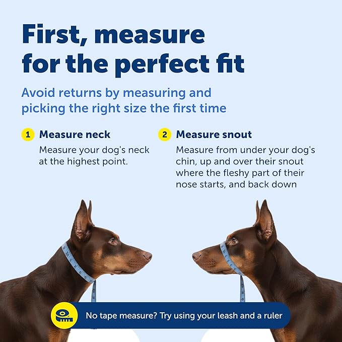 PetSafe Gentle Leader Headcollar No-Pull Dog Collar - Helps Improve Walks - Durable Nylon Construction - Padded Nose Loop - Adjustable Fit - Comfort Walking Halter - Small, Royal Blue