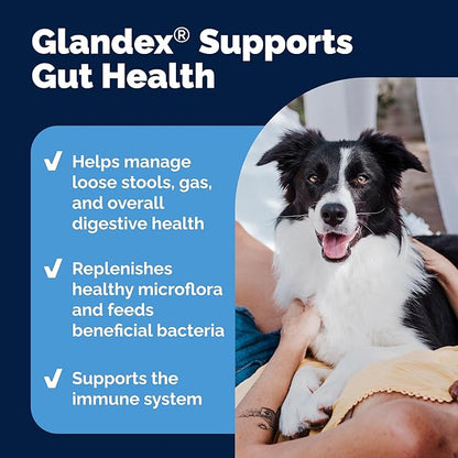 Vetnique Glandex Daily Probiotics for Dogs with Prebiotics to Support Gut Health, Diarrhea with Fiber and Digestive Enzymes, Dog Probiotic Powder (8.5oz Powder, Pork Powder)