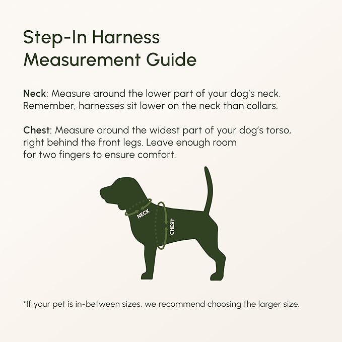 Downtown Pet Supply Step in Dog Harness for Small Dogs - Adjustable, Escape Proof Dog Harness with Reflective Trim - All-Weather, Fast-Drying Padded Mesh Fabric - Lilac, XS