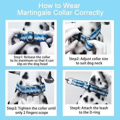 Reflective Martingale Collar for Dogs Nylon Training Collar with No Buckle, No Pull Adjustable Dog Collar for Medium Dogs（Blue Starfish，M）