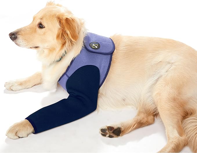 Coodeo Dog Recovery Suit, Cone Collar Alternative, Abrasion Resistant Dog Recovery Sleeve, Washable 2.5mm Thick and Waterproof, Pet Wounds Prevent Licking, Bite, Keep Dry（Purple，L