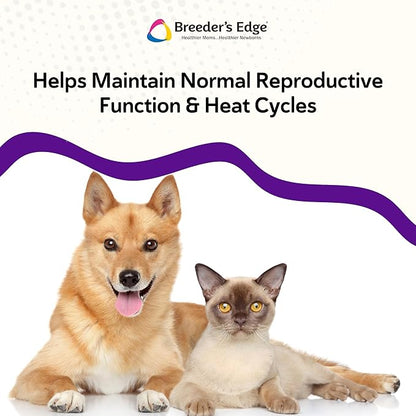 Breeder’s Edge B Strong Powder, B-Complex Vitamin Supplement for Dogs and Cats, Supports Reproductive Health, Promotes Normal Heat Cycles, and Helps Maintain Energy, 1kg