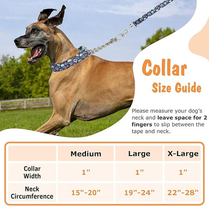 Martingale Dog Collar with Chain, No Pull Slip Cinch Choker Choke Collar Western Boho Aztec Duty Dog Collar for Medium Large Extra Large Pet Dogs,Western XL