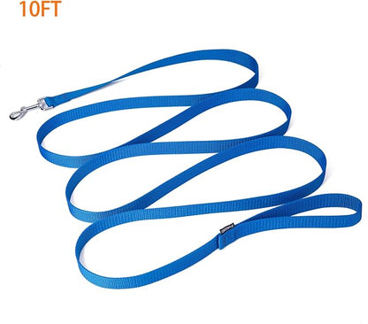 Strong Durable Nylon Dog Training Leash, 1 Inch Wide Traction Rope, 6 ft 10ft 15ft Long, for Small and Medium Dog (Blue, 10 Feet)