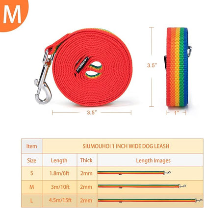Strong Durable Nylon Dog Training Leash, 1 Inch Wide Traction Rope, 6 ft 10ft 15ft Long, for Small and Medium Dog (Rainbow, 10 Feet)