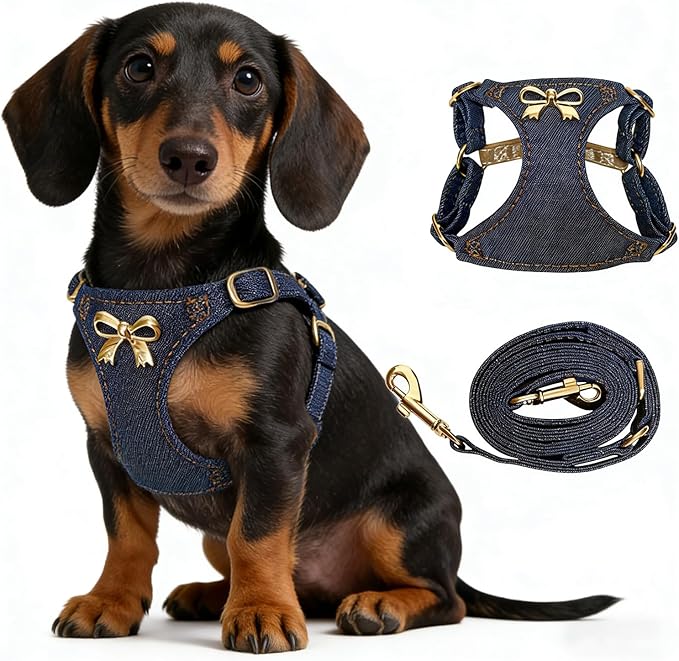 No Pull Dog Harness and Leash Set for Small Sized Dog Training Puppy Harnesses with Multifunction Dog Leash Soft Adjustable Denim No Choke Escape Proof Pet Harness for Small Medium Dog (Navy Blue XXS)