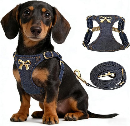 No Pull Dog Harness and Leash Set for Small Sized Dog Training Puppy Harnesses with Multifunction Dog Leash Soft Adjustable Denim No Choke Escape Proof Pet Harness for Small Medium Dog (Navy Blue XXS)