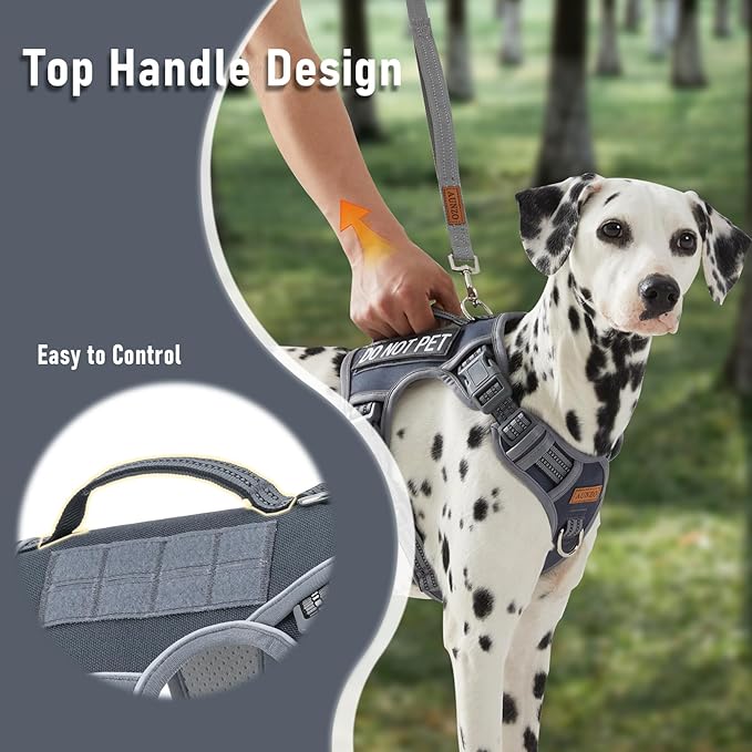 Light Dog Harness for Small Sized Dog Breeds, No-Pull Pet Harness with 2 Leash Clips, Adjustable Soft Padded Dog Vest, Reflective Pet Oxford Vest, Puggle, Terriers, Beagle, Gray, Small
