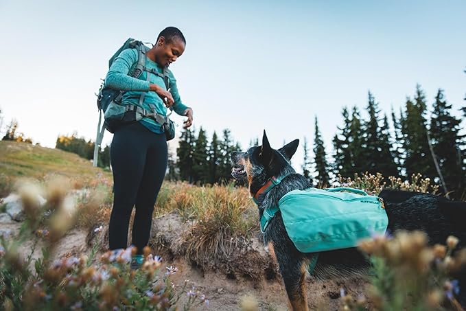 Ruffwear, Front Range Dog Collar, Adjustable Tubelok Webbing, Lightweight, Side Release Buckle, Aluminum V-Ring, Durable for Everyday Use, Coastal Fade, 14"-20"